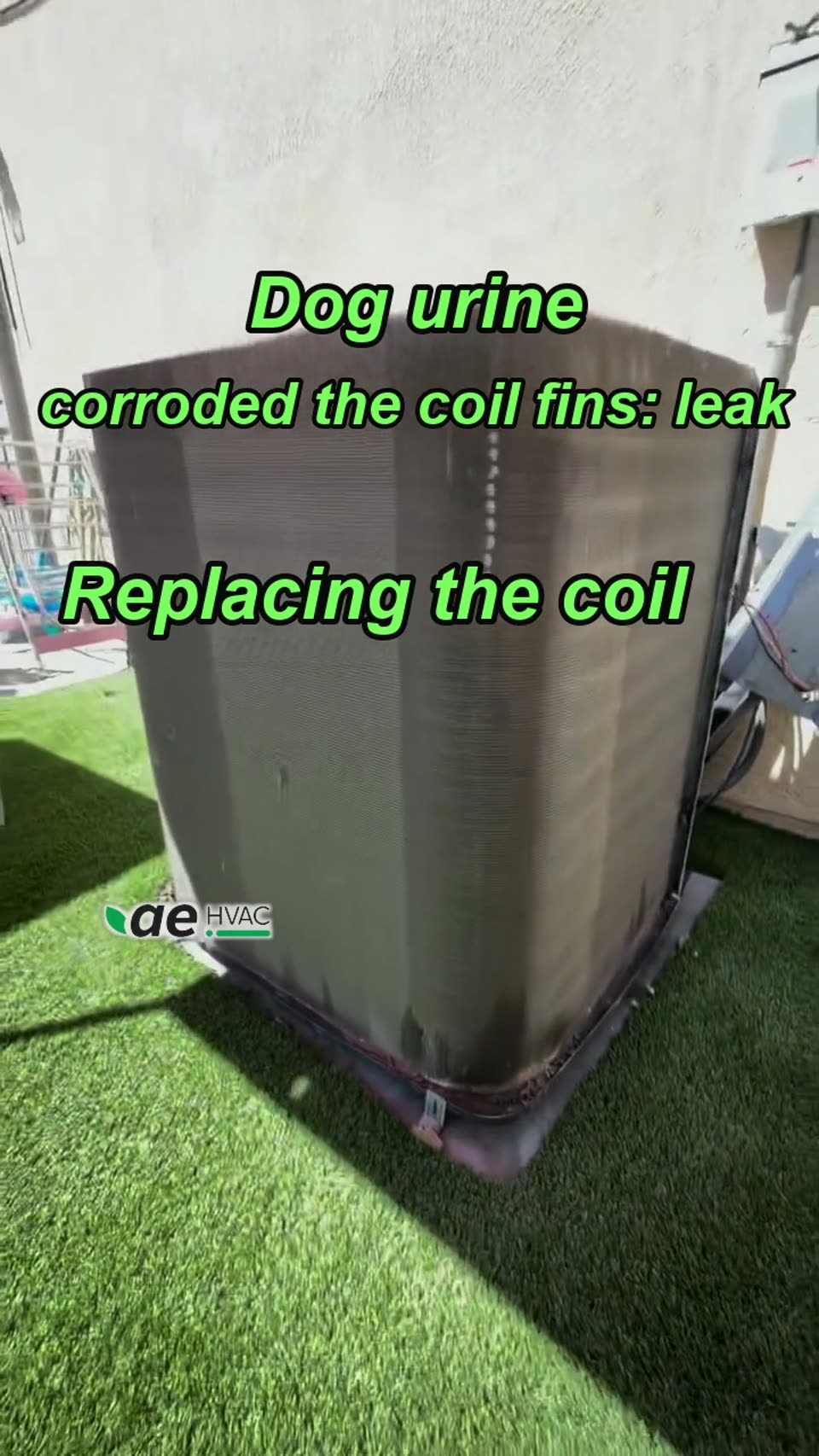 Dog urine corroded the coil fins until it leaked