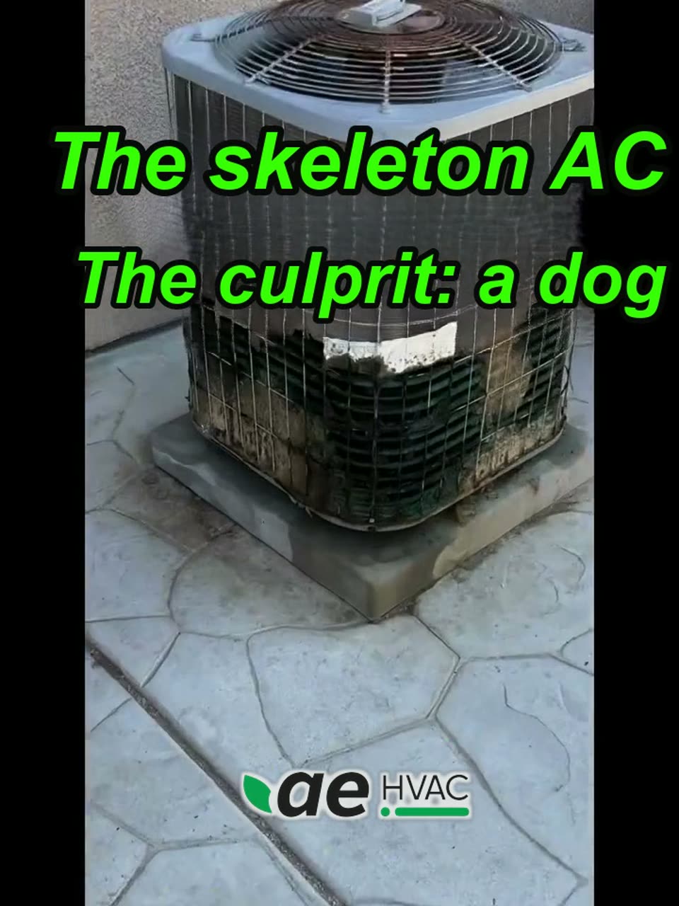 Outdoor coil eaten away by dog urine