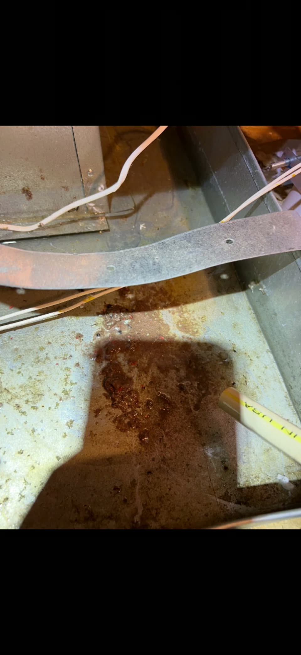Carrier furnace with a blocked condensate drain