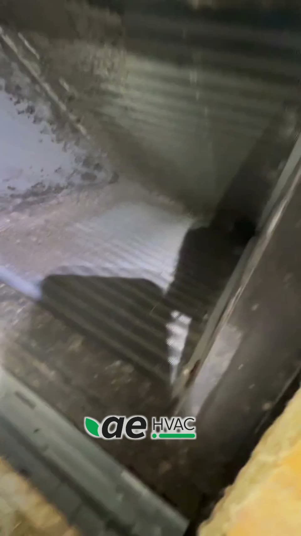 Inside a rental's evaporator: dust and mold